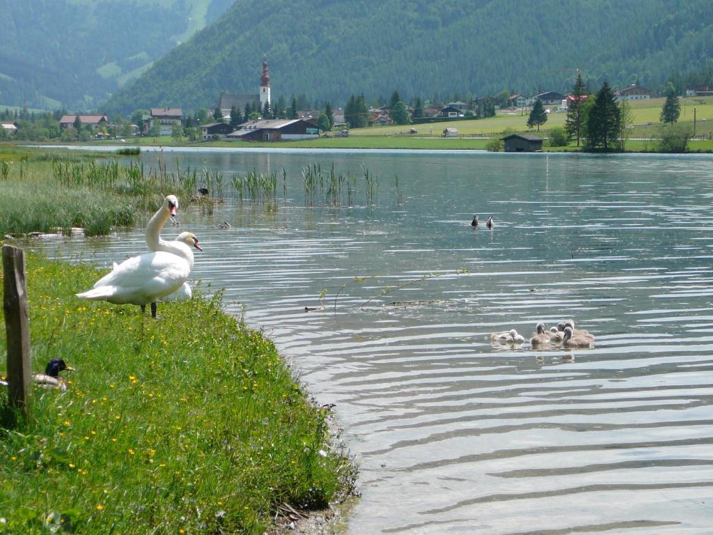 Appartement Pillersee Санкт Улрих ам Пилерзее Екстериор снимка